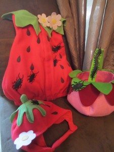 homemade costumes