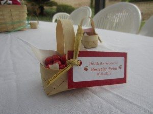 Cherry Theme Party DIY Inspired (10)