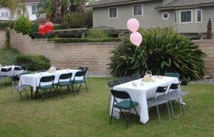 Cherry Theme Twin Baby Shower