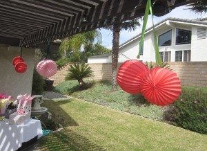 Giant Cherries (2)