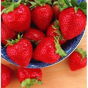 Strawberry Fresca