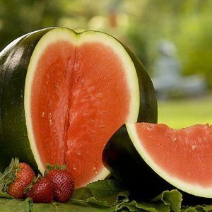 Watermelon Fresca