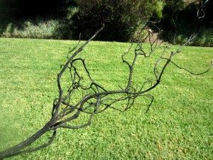 Easy Halloween Tree Craft (4)