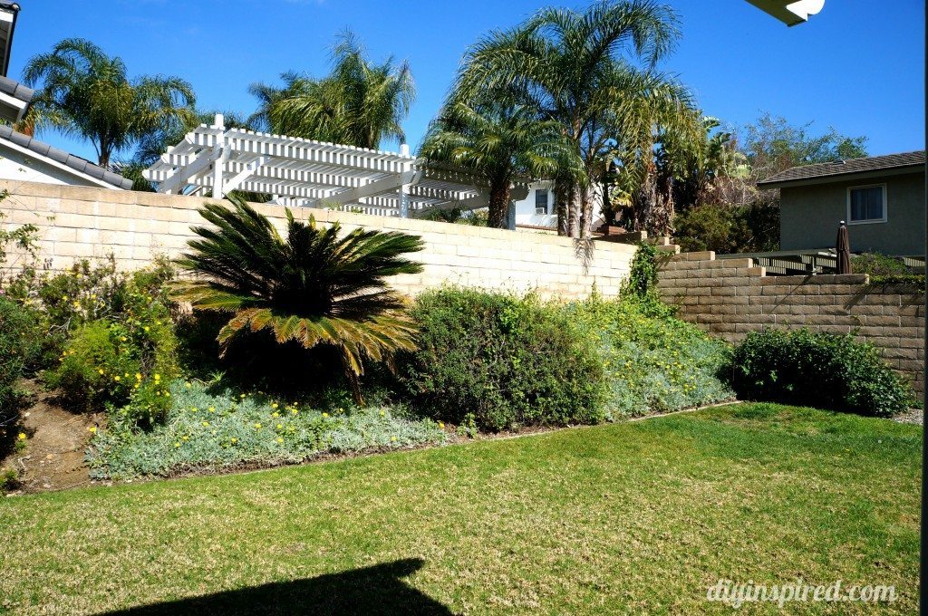 backyard-ideas (2)