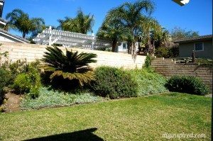 backyard-ideas (2)