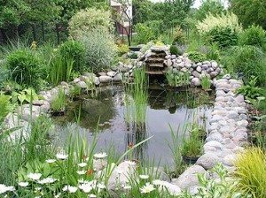 Water-Garden