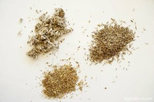 http://www.diyinspired.com/wp-content/uploads/2015/02/Drying-Your-Own-Herbs-Tips-300x199.jpg