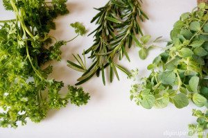 http://www.diyinspired.com/wp-content/uploads/2015/02/Growing-Your-Own-Herbs-1-300x199.jpg