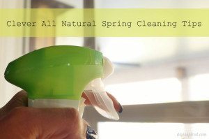 http://www.diyinspired.com/wp-content/uploads/2015/04/Clever-All-Natural-Spring-Cleaning-Tips-300x199.jpg