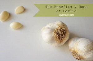 http://www.diyinspired.com/wp-content/uploads/2015/04/The-Benefits-and-Uses-of-Garlic-300x199.jpg