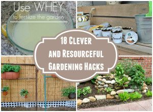 http://www.diyinspired.com/wp-content/uploads/2015/07/Clever-and-Resourceful-Gardening-Hacks-300x220.jpg