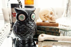http://www.diyinspired.com/wp-content/uploads/2015/09/Upcycled-Halloween-Owl-300x199.jpg