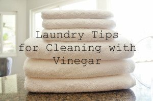 http://www.diyinspired.com/wp-content/uploads/2015/10/Laundry-Tips-for-Cleaning-with-Vinegar-6-300x199.jpg