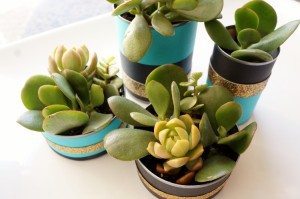 http://www.diyinspired.com/wp-content/uploads/2015/11/Recycled-Can-Centerpieces-with-Succulents-300x199.jpg