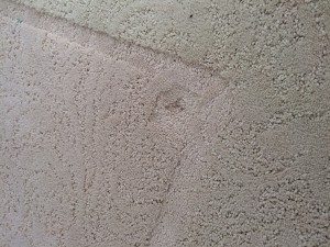 http://www.diyinspired.com/wp-content/uploads/2016/01/Ice-Cube-on-Carpet-Dents-Test-3-300x225.jpg
