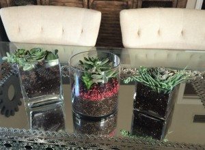 http://www.diyinspired.com/wp-content/uploads/2016/01/Planting-Succulents-DIY-Inspired-300x220.jpg
