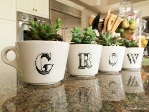http://www.diyinspired.com/wp-content/uploads/2016/01/Repurposed-Coffee-Cup-Succulent-Garden-300x225.jpg