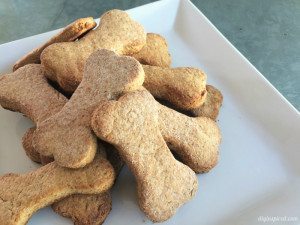 http://www.diyinspired.com/wp-content/uploads/2016/03/Easy-Four-Ingredient-Dog-Treats-300x225.jpg