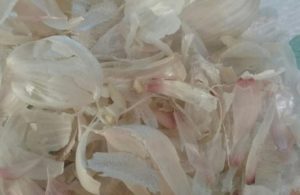 http://www.diyinspired.com/wp-content/uploads/2016/05/How-to-Make-Garlic-Oil-2-300x195.jpg