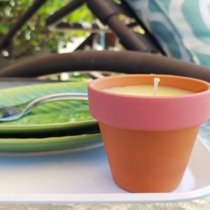 How to Make Citronella Candles (10)
