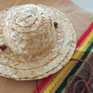 DIY Felt Dog Costume