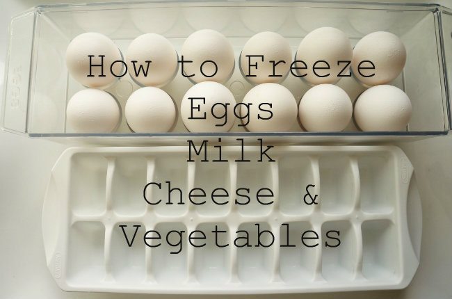 How to Freeze Eggs, Milk, Cheese, and, Vegetables - DIY ...